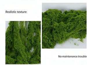 Musgo Preservado Duradero <span class=keywords><strong>en</strong></span> Oferta, Planta de Musgo Artificial, Musgo Natural Real para Decoración del Hogar y la Sala de Estar - Product Image 6