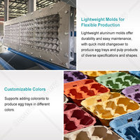 Équipement de production de boîtes à œufs en carton OCEAN, usine de moulage de pâte à papier, machine de fabrication de barquettes à œufs de caille en bagasse avec sécheur