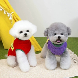2025 फैशन बनिपेट मोटी कोट शीतकालीन जैकेट कस्टम कुत्ते सर्दियों के कपड़े - Product Image 2
