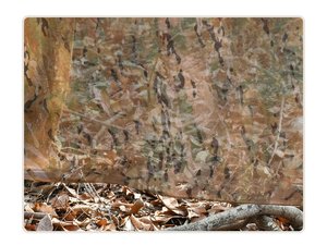 <span class=keywords><strong>Filet</strong></span> de <span class=keywords><strong>camouflage</strong></span> pour la chasse stores au sol <span class=keywords><strong>filet</strong></span> en maille léger pour la décoration de fête de tir photographie couverture de <span class=keywords><strong>voiture</strong></span> pare-soleil - Product Image 6