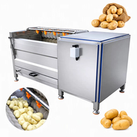 Automatische fruit- en groentewasmachine, palmvrucht-, appel- en gemberreiniger, aardappelwasser, prijs