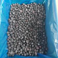 IQF Diepvries Blauwe Bessen, Hele, Volle, Diepblauwe Bessen voor Yoghurt- en Zuivelindustrie, Premium Diepvries Blauwe Bessen Bulk 10kg Aanbod