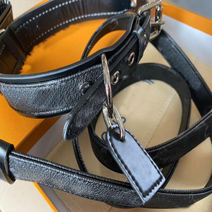 Collar de perro de diseñador de lujo ajustable y conjunto de correa de cuero estampado de moda con decoración de remaches y embalaje de caja agradable - Product Image 4
