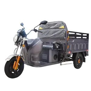 JINPENG New Design 60km Long Range 1000w Power 300kg Loading Capacity Electric Tricycle For Cargo