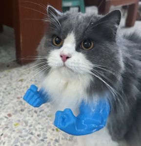 Accesorios <span class=keywords><strong>para</strong></span> mascotas con impresión en 3D <span class=keywords><strong>para</strong></span> gatos, compañero <span class=keywords><strong>para</strong></span> deportes y entretenimiento, características del brazo de <span class=keywords><strong>Hulk</strong></span> - Product Image 2