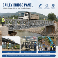 Pannello Traliccio Bailey Bridge 321 a Fila Singola e Strato Singolo con Cordoni Rinforzati