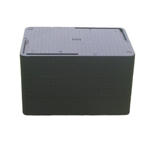 Chất lượng cao bán buôn Đen EPP bọt mát hộp giữ tươi bao bì hộp - Product Image 1