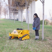 Nouvelle tondeuse à gazon rotative agricole miniature, tondeuse à fléaux robotisée télécommandée à essence pour usage domestique