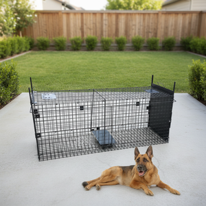 <span class=keywords><strong>Prix</strong></span> direct d'usine, cage à pièges pliable pour animaux, cage à pièges pour chiens durable et réutilisable pour la ferme/la cour, élimination des nuisibles - Product Image 1