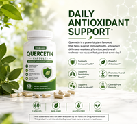 ODM OEM Vente en gros Quercétine certifiée Halal Haute Pureté 500mg Capsules Antioxydant Naturel Soutien Immunitaire et Respiratoire 60/90/120