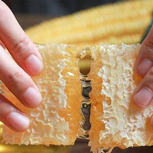 500g Raw Honeycomb <strong>Honey</strong> - Product Image 4