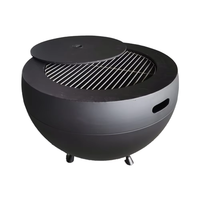 Barbecue portable en acier, résistant à l'eau, pour extérieur, à charbon de bois, foyer, poêle, peinture haute température pour extérieur