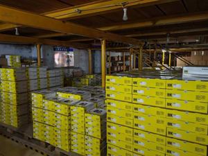 Kit de Embrague Original LUK <span class=keywords><strong>627</strong></span> <span class=keywords><strong>3032</strong></span> <span class=keywords><strong>09</strong></span>, 2 Piezas, Disco y Plato U201-16-490A 5229596 para Ford Ranger Mazda BT50 - Product Image 6