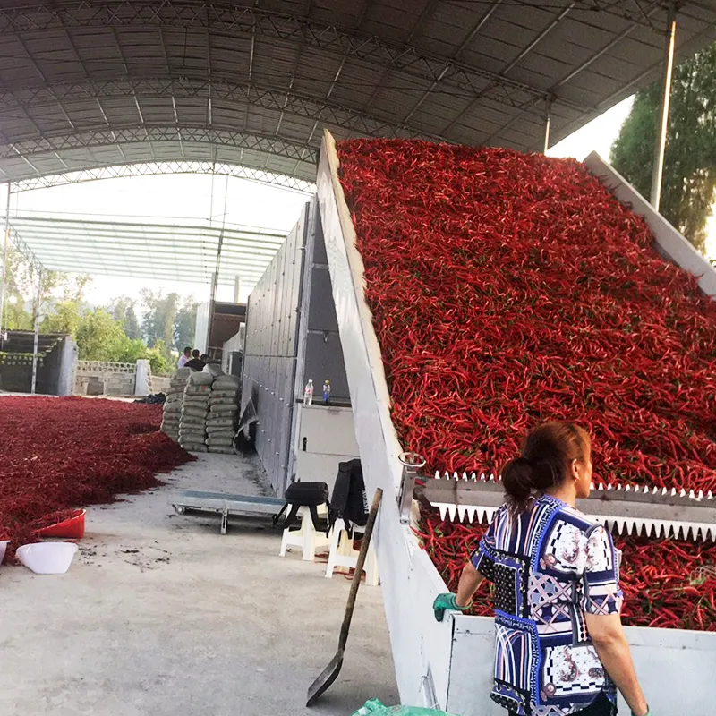 Energy-efficient equipment red chili drying vegetable dehydration machine
