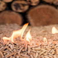 Granulés de bois à haute valeur calorifique, granulés de bois de caoutchouc de Thaïlande, combustible biomasse renouvelable pour chaudières, fours et centrales énergétiques