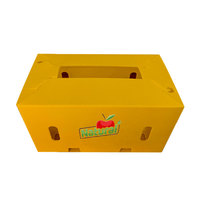 Emballage du produit Boîtes personnalisées Boîte d'emballage de recyclage Boîte en plastique ondulé