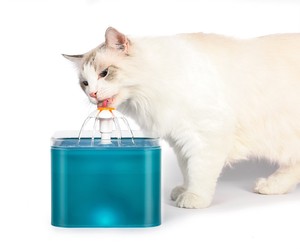 Desain baru listrik USB LED luar ruangan desain bunga otomatis minum hewan peliharaan mangkuk Dispenser air anjing kucing air mancur - Product Image 6