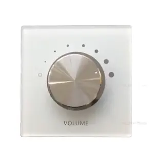 Surpass PA Audio System Stereo 2*50W Volume Control Switch For Smart Sound System