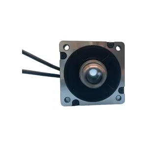 Bldc 130w Double Ball Bearing High Torque Brushless Dc Motor Permanent Magnet Ie 3 3000 0.37n.m Unit Rear Motor Brushless 1000