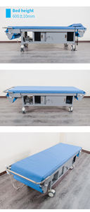 Mesa de Examen Raydow con Certificación CE - Multifuncional, Reemplazo Automático de Sábanas, Estructura Metálica Resistente - Product Image 4