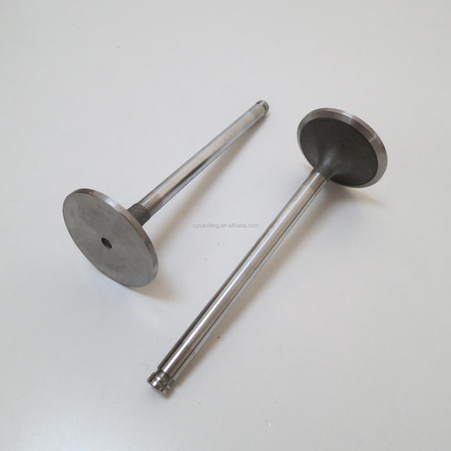 6ct 3924492 Truck Diesel Engine Intake Valve with Titanium Coating for 6C Series 8.3L