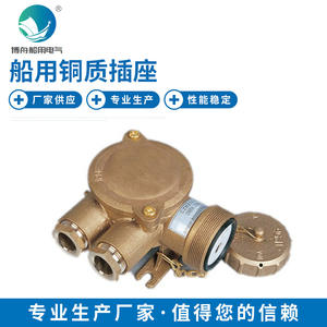 ขั้วต่อไฟฟ้าทางทะเลแบบกันน้ำ รุ่น CZS2-2/4D2  ทำจากทองเหลือง พร้อมบานพับ  อะไหล่เรือ - Product Image 3