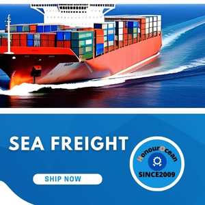 Spedizioniere Fba servizio di logistica porta a porta Fcl Ddp trasporto marittimo in Qatar Mexico Usa/europa/in tutto il mondo in camion - Product Image 5