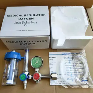 Hot Selling Oxygen Cylinder Regulator Flow Meter Oxigen Flow Meter Regulator Pressure Regulators