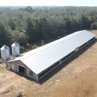 Poulailler moderne en structure acier, ossature en acier galvanisé à chaud haute résistance, personnalisé pour l'élevage de poules pondeuses