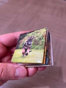 Regalo promocional de calidad Logotipo personalizado Fancy Dog Picture Nevera Clip magnético para notas - Product Image 4