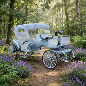 Nouvelle Vente en Gros Directe d'Usine - Carrosse Électrique Blanc Sans Chevaux pour Visites Touristiques, Carrosse Royal, Carrosse Cendrillon - Product Image 1