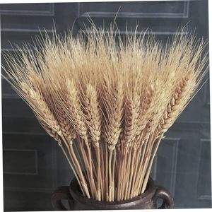 Guansen Boho Decor décoration <span class=keywords><strong>de</strong></span> <span class=keywords><strong>la</strong></span> maison bouquet séché blé belle orge séchée naturelle séchée pour arrangement <span class=keywords><strong>de</strong></span> fleurs - Product Image 2