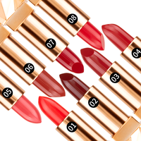Make Up Supplier Lipstik Label Pribadi Cair Matte