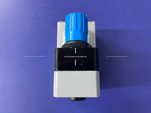 Nouveau régulateur de pression de précision FESTO, série LRP, LRPS, modèle LRP-1/4-2,5(162834) - Product Image 5