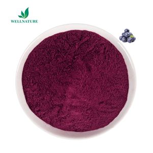 Vente en gros de poudre de myrtille biologique naturelle lyophilisée en poudre de myrtille sauvage de qualité alimentaire - Product Image 2