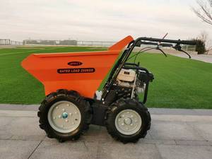 <span class=keywords><strong>Brouette</strong></span> motorisée 4x4 ANT avec moteur, roulement et boîte de vitesses, capacité de charge de 250 kg pour les <span class=keywords><strong>travaux</strong></span> agricoles et de jardinage - Product Image 3