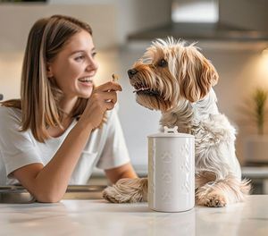 Urne commémorative en céramique pour animaux de compagnie, design mignon pour cendres de chat et de chien, conteneur de crémation, cadeau souvenir - Product Image 4