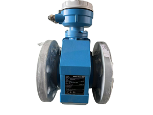 Parámetros del Medidor de Flujo E+H Proline Promag W 500 Clase IP68 (Tipo de Carcasa 6P) - Product Image 5