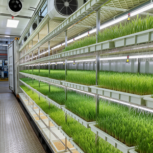 Erschwinglicher Hochleistungs-Hydroponik-Futtergras Vertikaler Gewächshaus-Futteranbaucontainer - Product Image 2