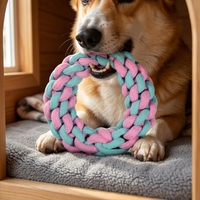Jouets à mâcher pour chiens en corde de coton durable et interactive, rose macaron, turquoise, multi-formes, pour chiots, chiens de petite et moyenne taille, jeu de la corde