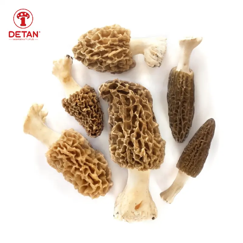 Detan Exports Fresh Cultivated Morel With High Nutritional Value.