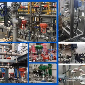 Bellows Seal Type Pneumatic Water Steam Globe Valve Flange ANSI 150 Stainless Steel 304 Pneumatic Diaphragm Modulating Valve