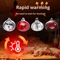 Ampoules spéciales épaisses pour lampes chauffantes pour porcelets, lampes chauffantes pour l'élevage des poussins, lampes chauffantes vétérinaires pour les fermes