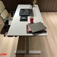 Table élévatrice ergonomique à double moteur, surface en contreplaqué de bouleau, montage facile, disponible en différentes tailles et hauteurs, structure métallique durable