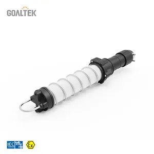 防爆ライトIP66防爆オーバーホール照明器具Atex承認のポータブル機器照明器具