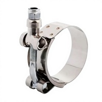 Factory T-Type Strong Clamp Heavy Duty Bolts Clamp V-shaped groove Clamp T-shaped Bolt Strong Radiator Hose Clamp