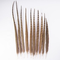 Plume de faisan commun pour la décoration de chapeaux pour femmes et de chapeaux de cowboy, la confection de mouches de pêche à la mouche, la fabrication de chapeaux, la fabrication de bijoux, les costumes, la décoration intérieure