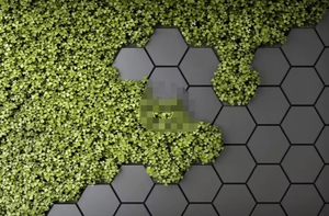 <span class=keywords><strong>Pared</strong></span> de <span class=keywords><strong>ladrillo</strong></span> hexagonal negra trébol verde vegetación Mural papel tapiz pegatina - Product Image 4