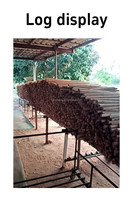 Machine automatique de fabrication de tiges rondes en bois pour manches de balai et de serpillière, motorisée, haute productivité