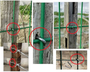Clous à tête bombée en acier argenté de type U, qualité industrielle, tige lisse, pour la fixation de câbles, fils, grillages dans la construction - Product Image 5